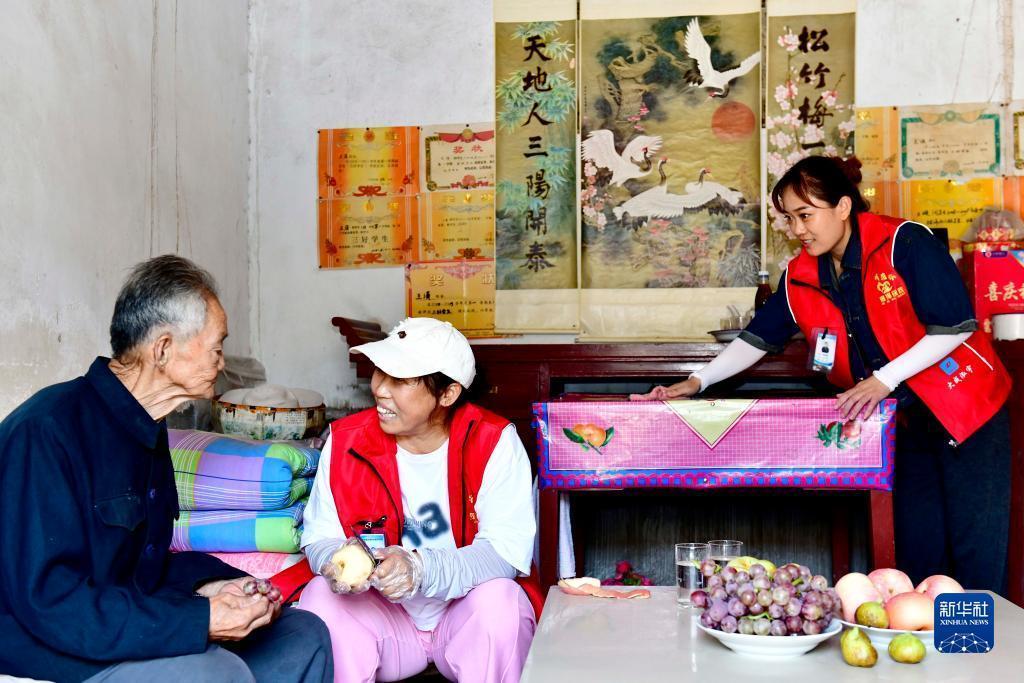 狮子老鹰游戏